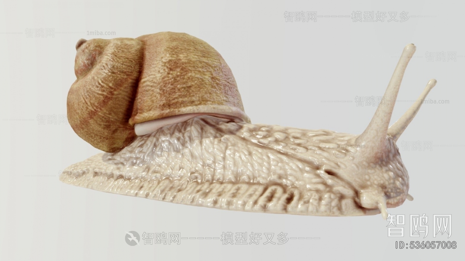 Modern Reptile