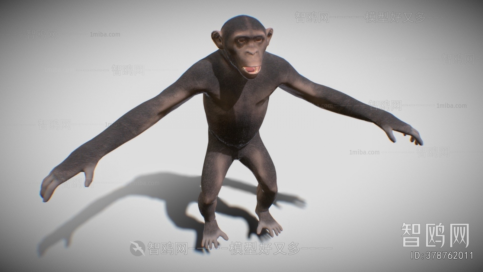 Modern Mammal