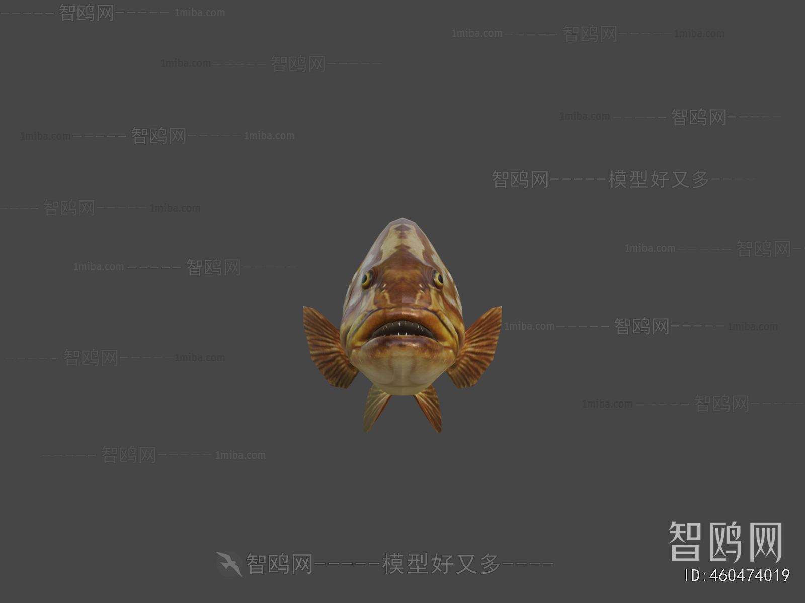 Modern Aquatic Animals