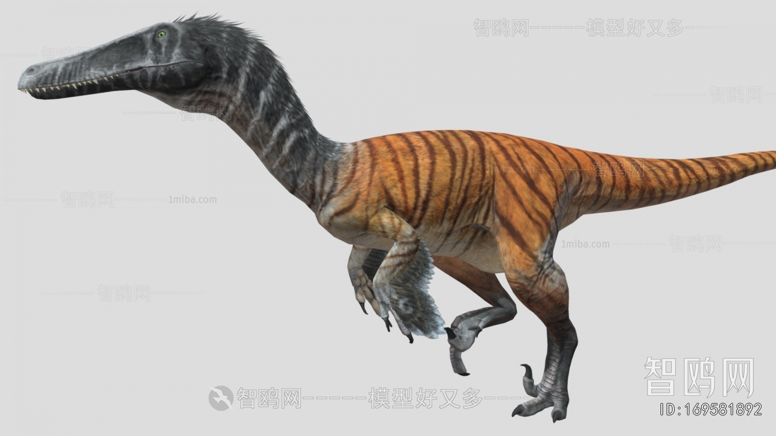 Modern Other Animals