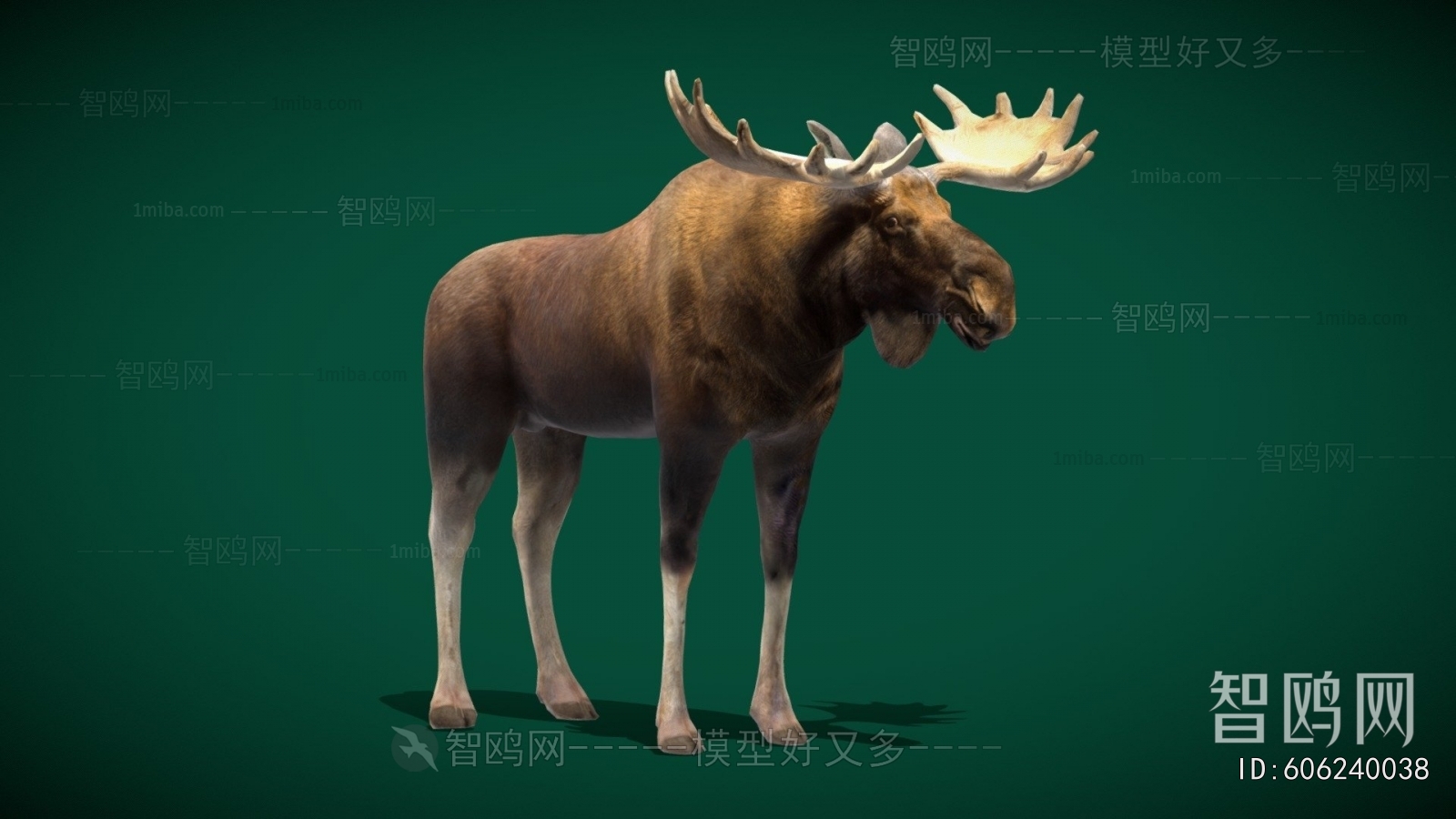Modern Animal