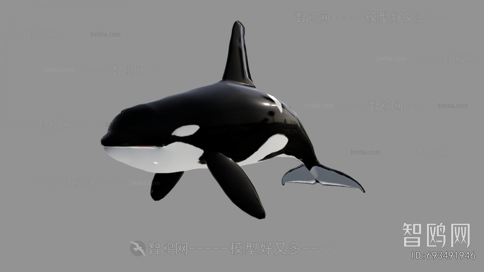 Modern Aquatic Animals