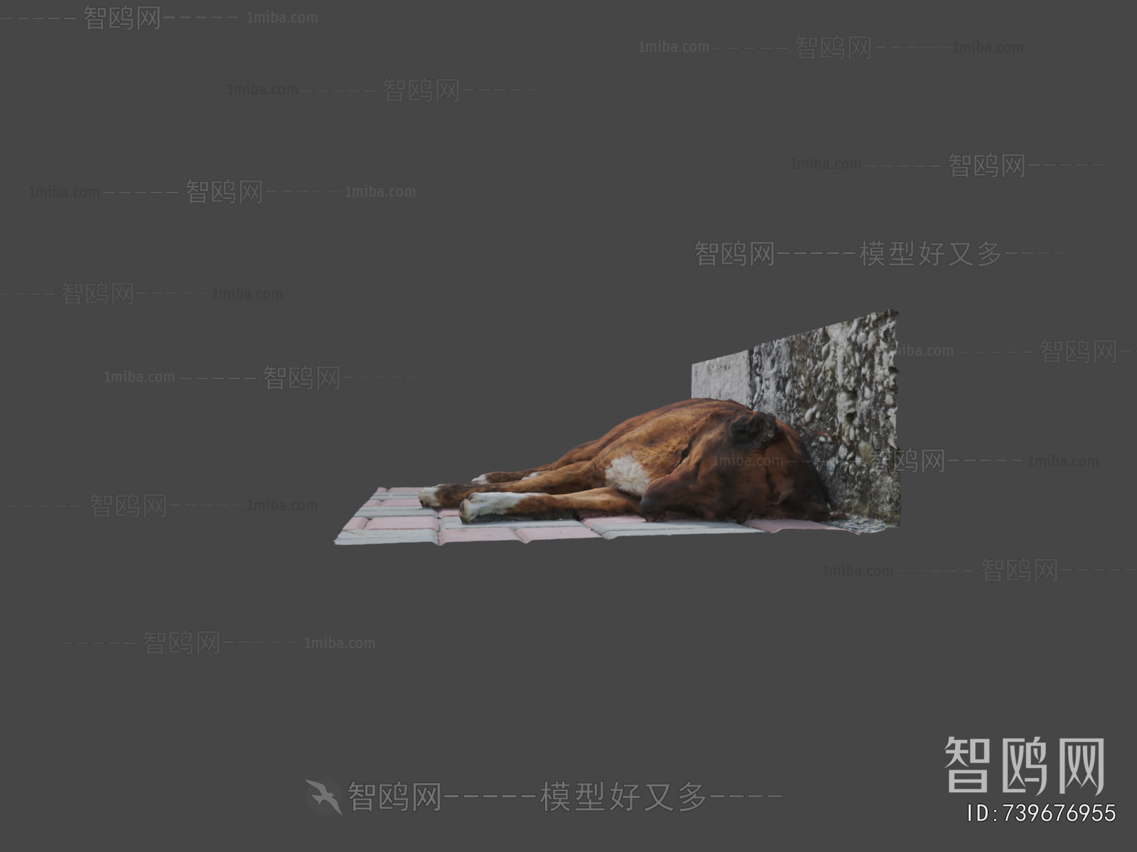 Modern Animal Dog