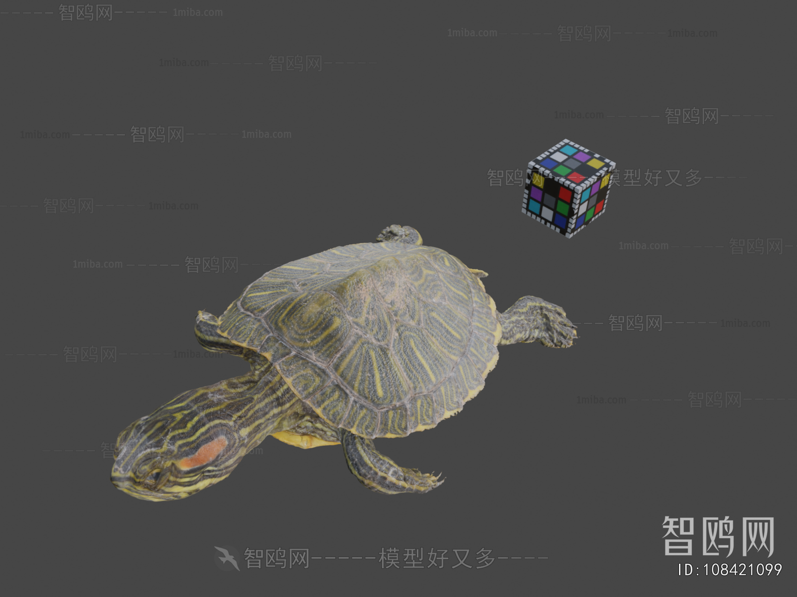 Modern Animal