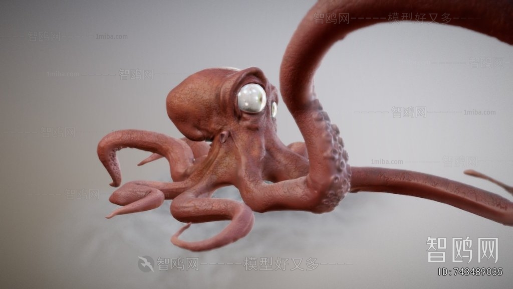 Modern Animal