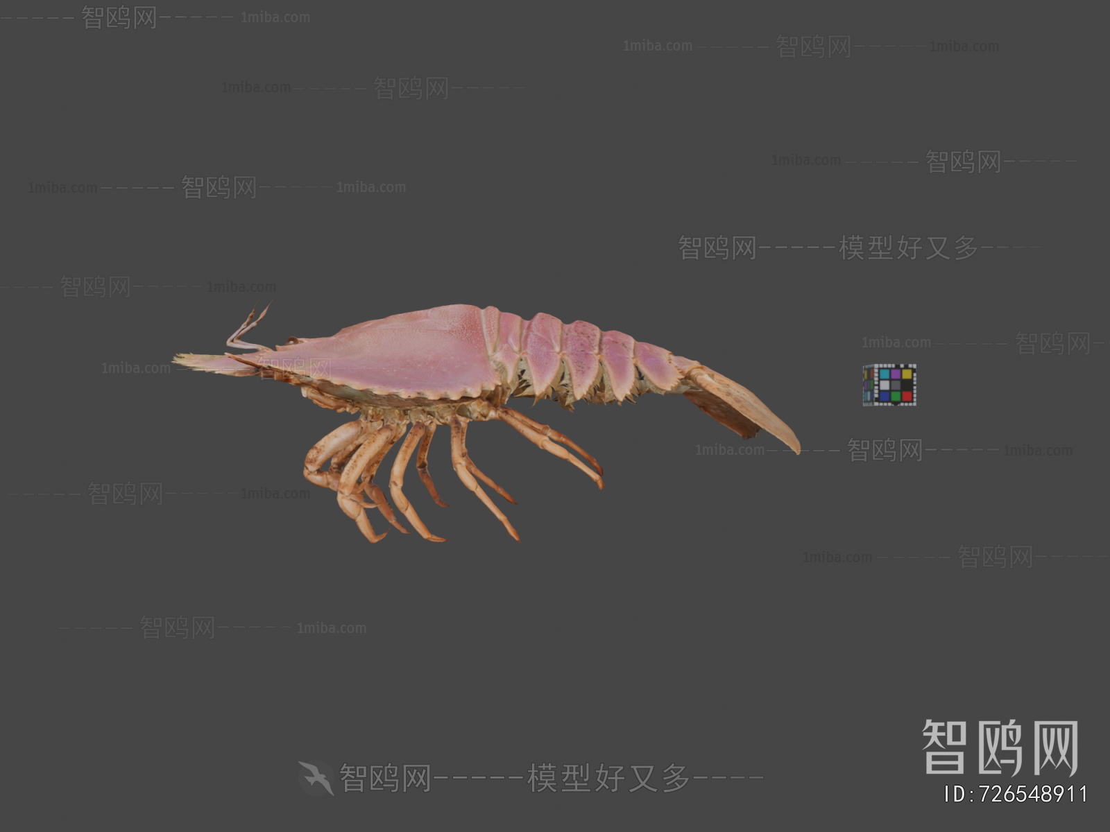 Modern Animal
