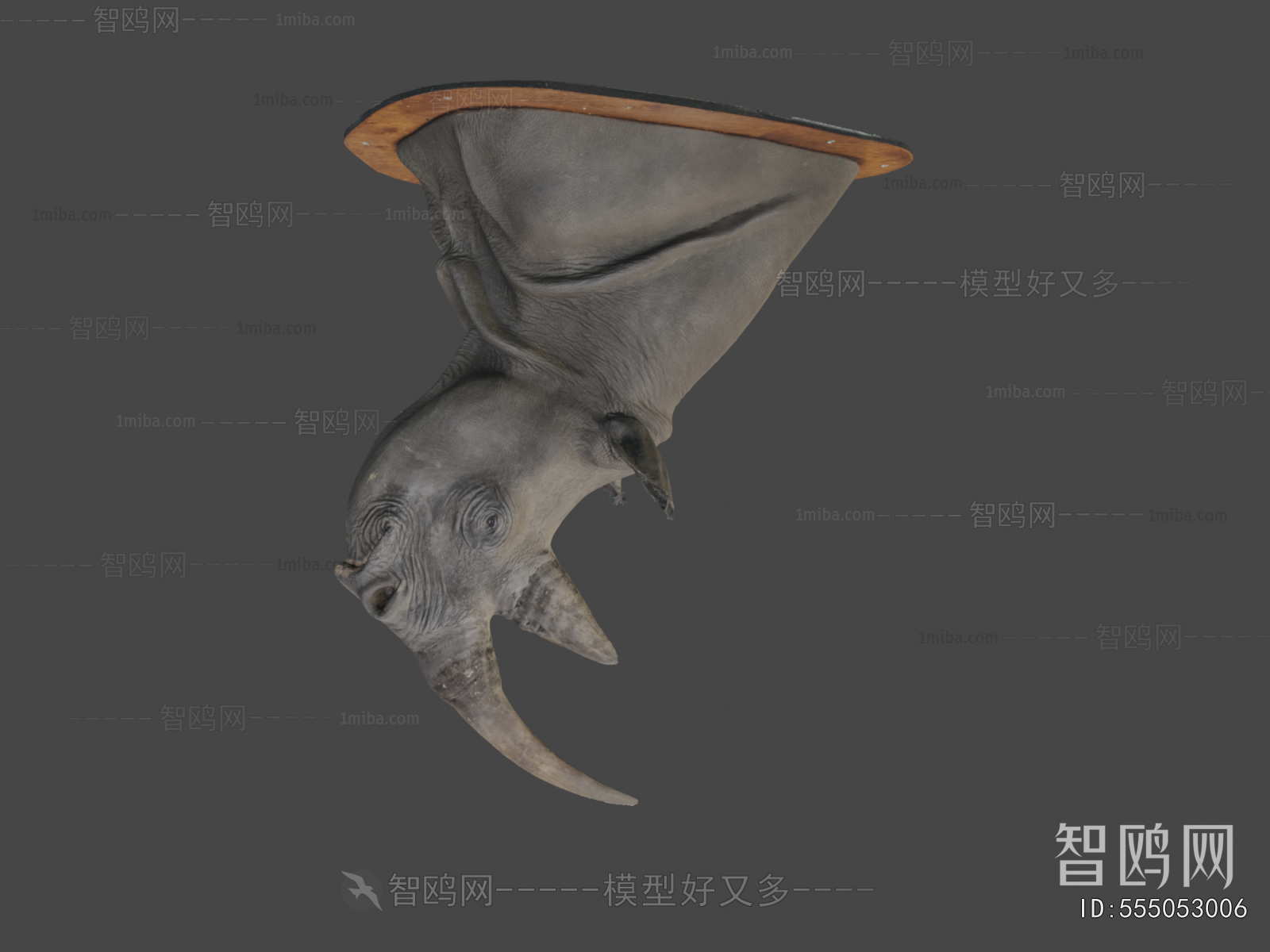 Modern Mammal
