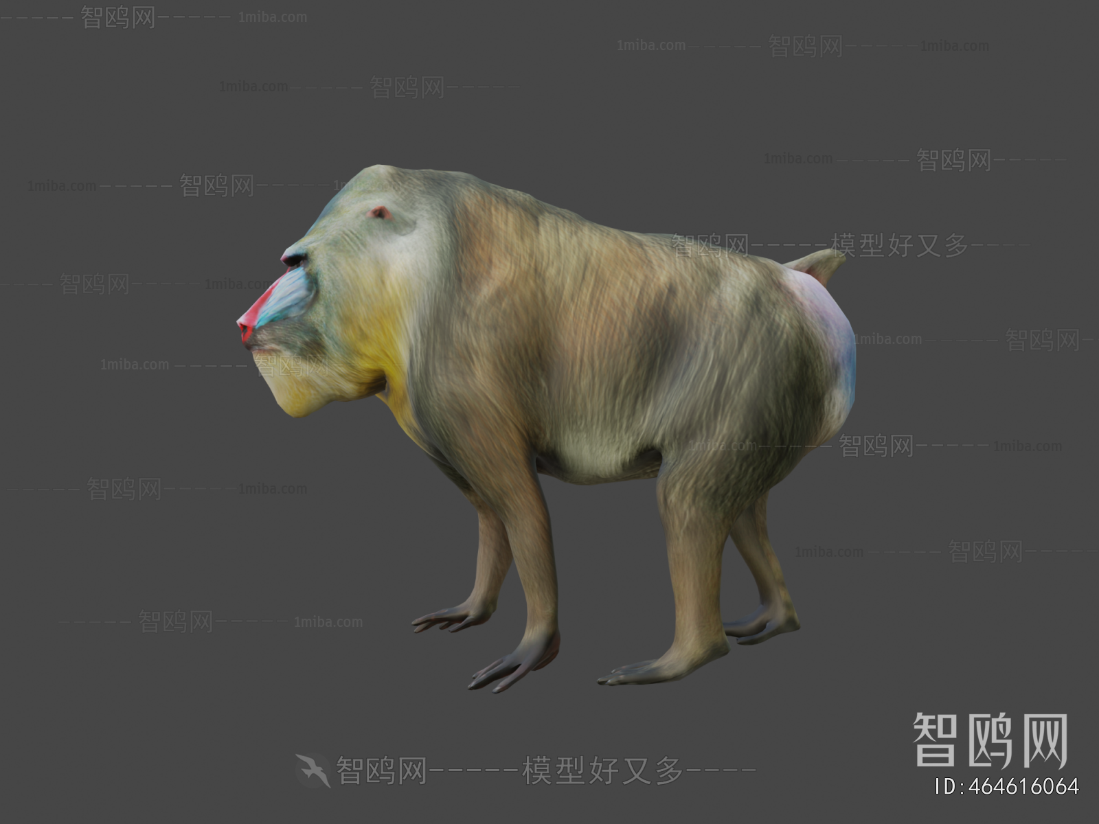 Modern Animal