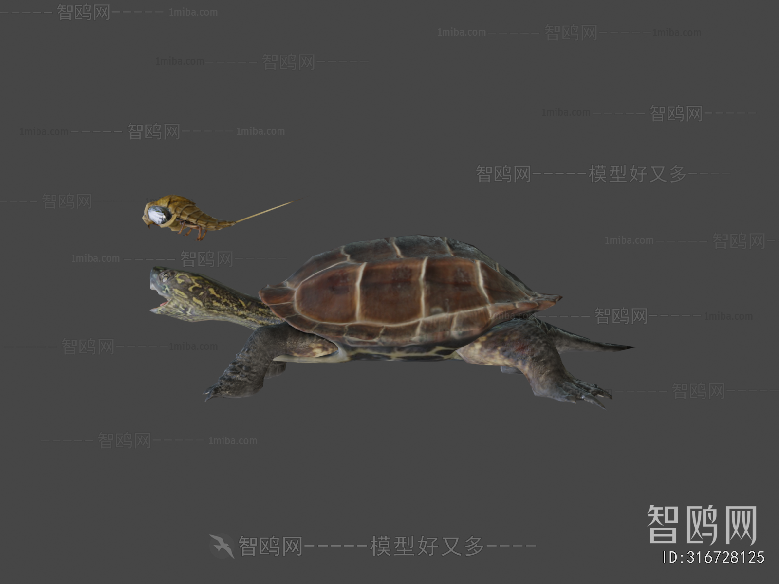 Modern Reptile