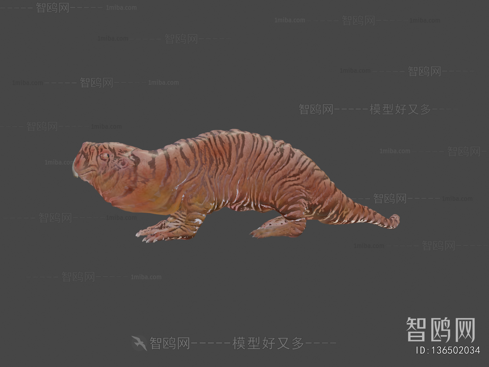 Modern Animal