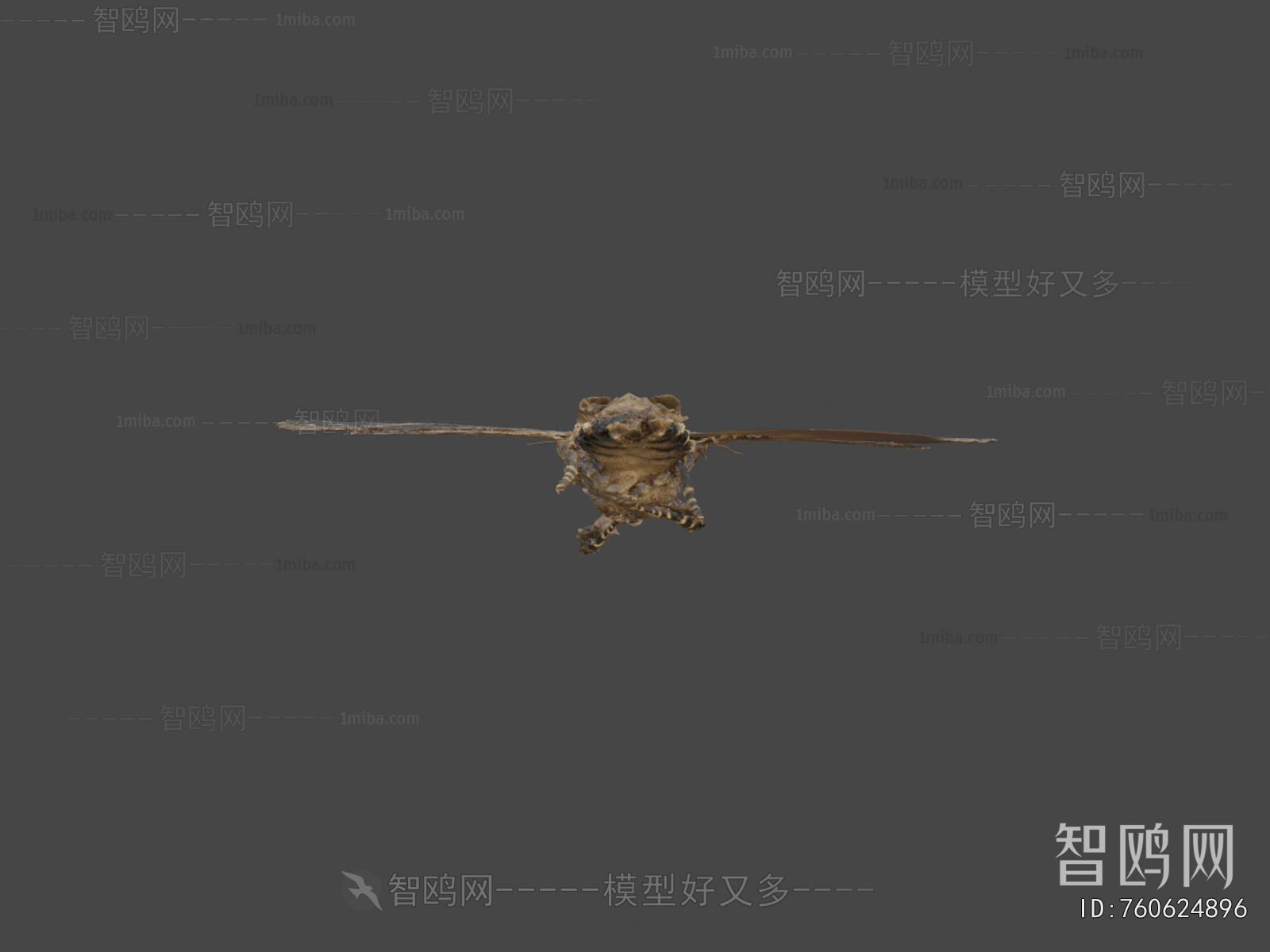 Modern Animal