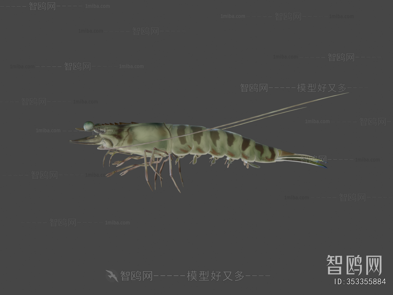 Modern Animal