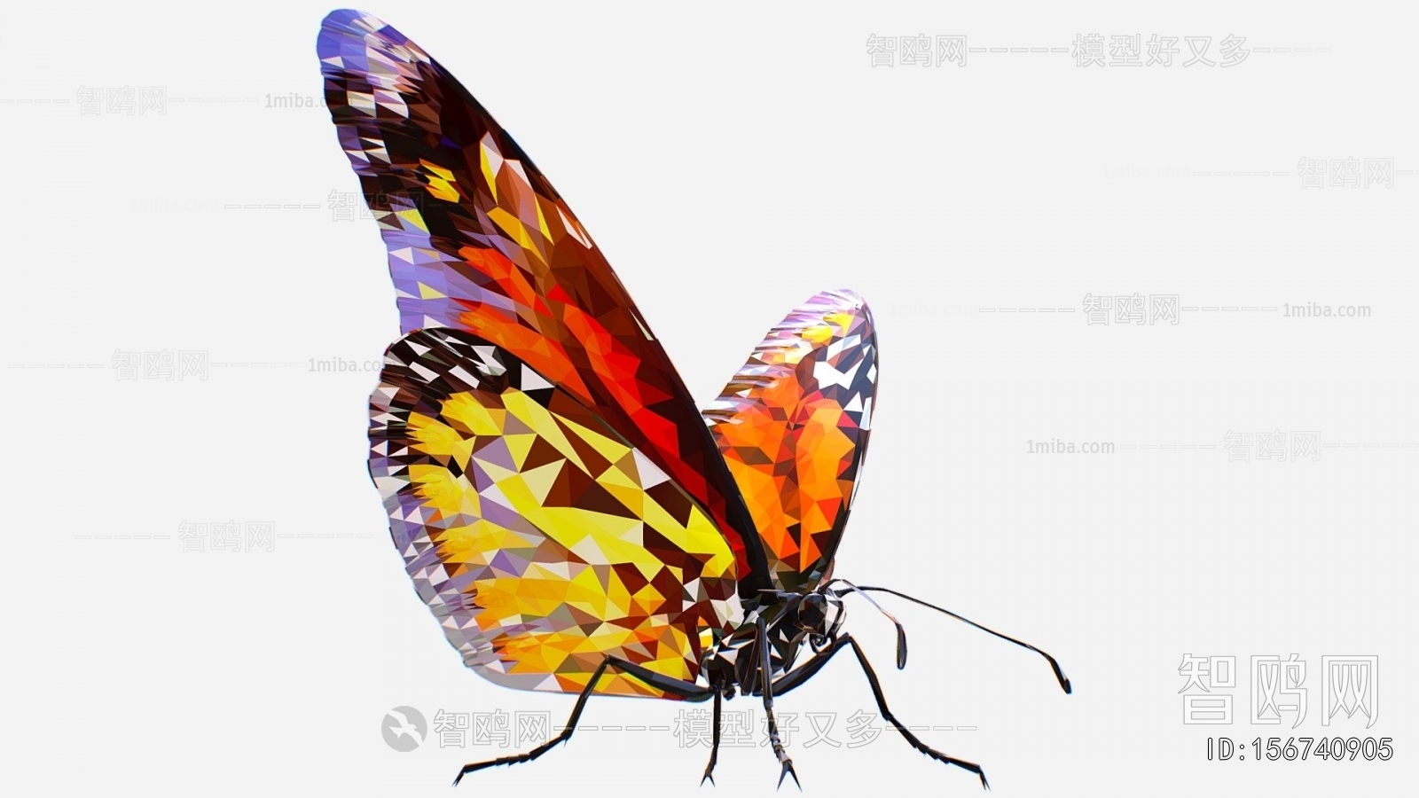 Modern Flying Animals
