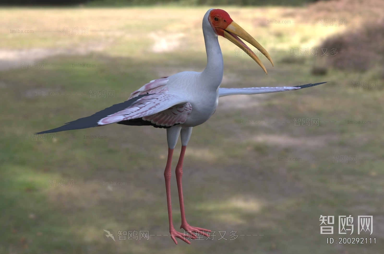 Modern Flying Animals