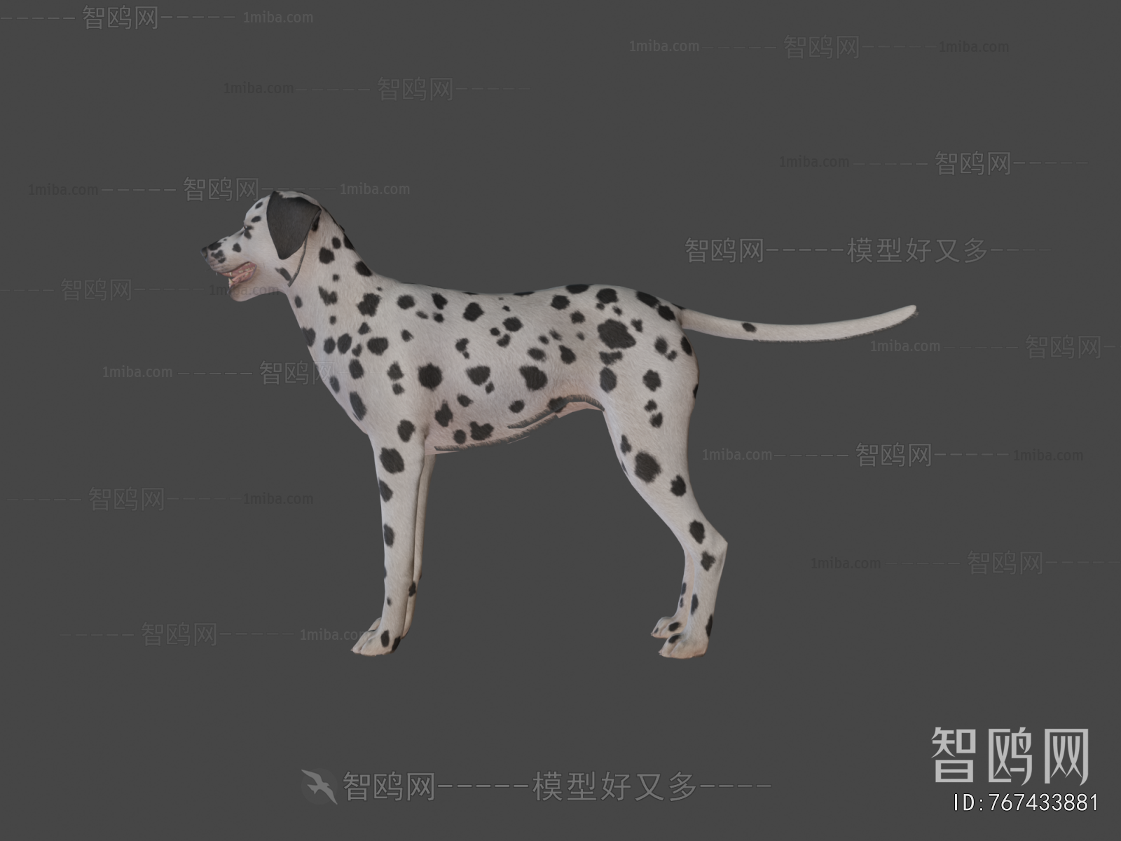 Modern Animal Dog