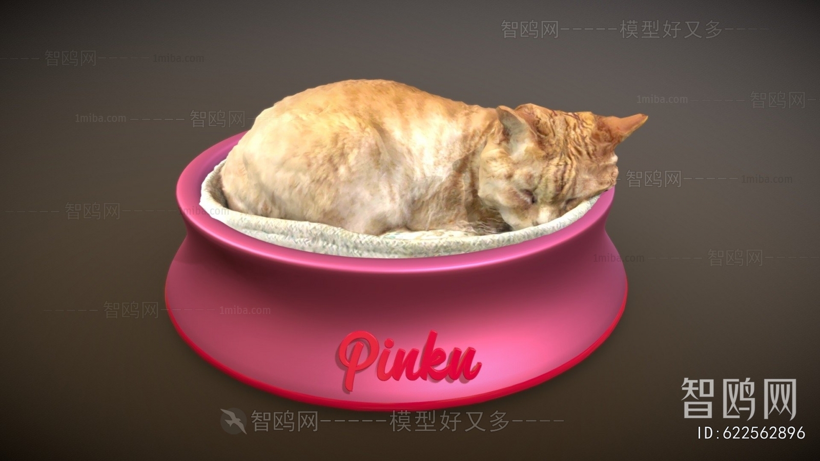 Modern Animal Cat