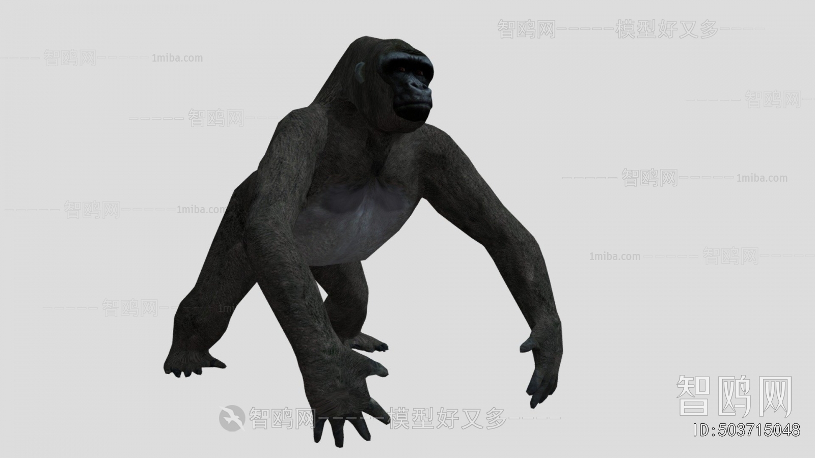 Modern Mammal