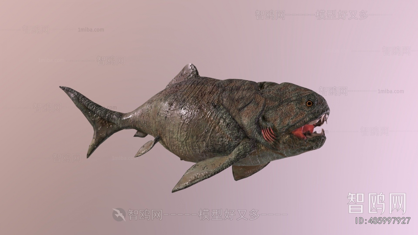 Modern Aquatic Animals