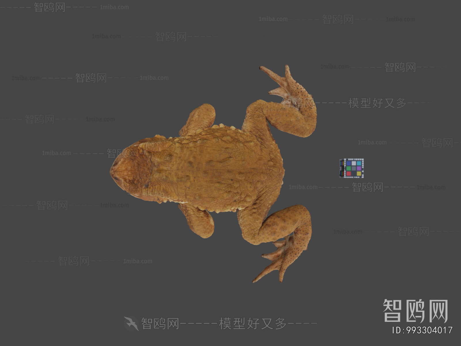 Modern Animal