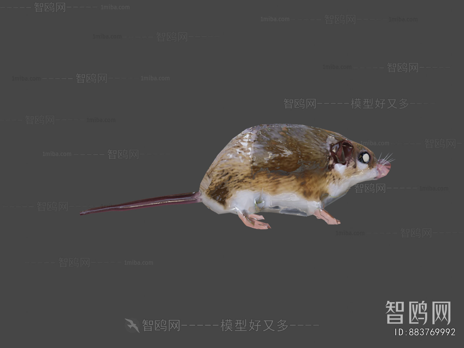 Modern Mammal