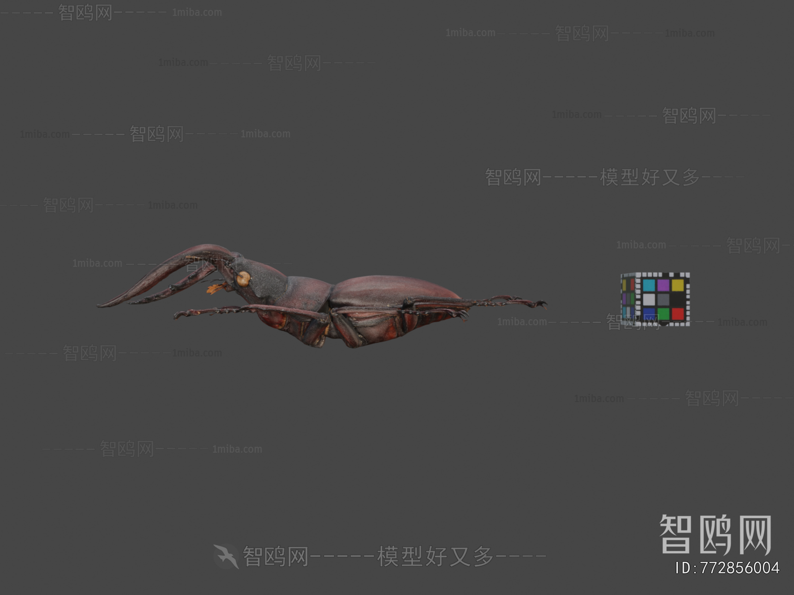 Modern Animal
