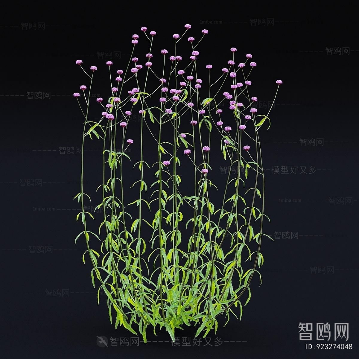 Modern Flowers And Grass