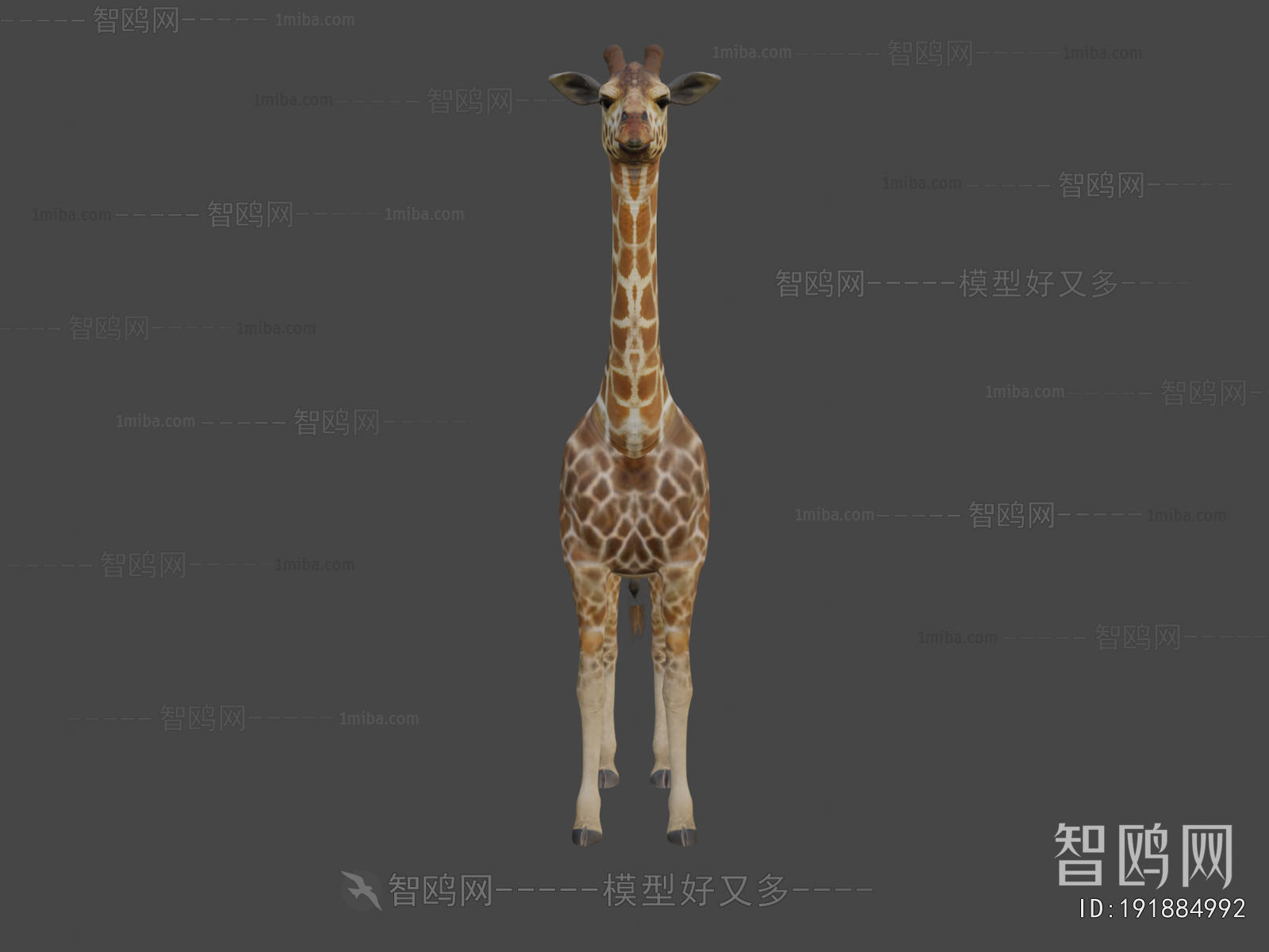 Modern Mammal