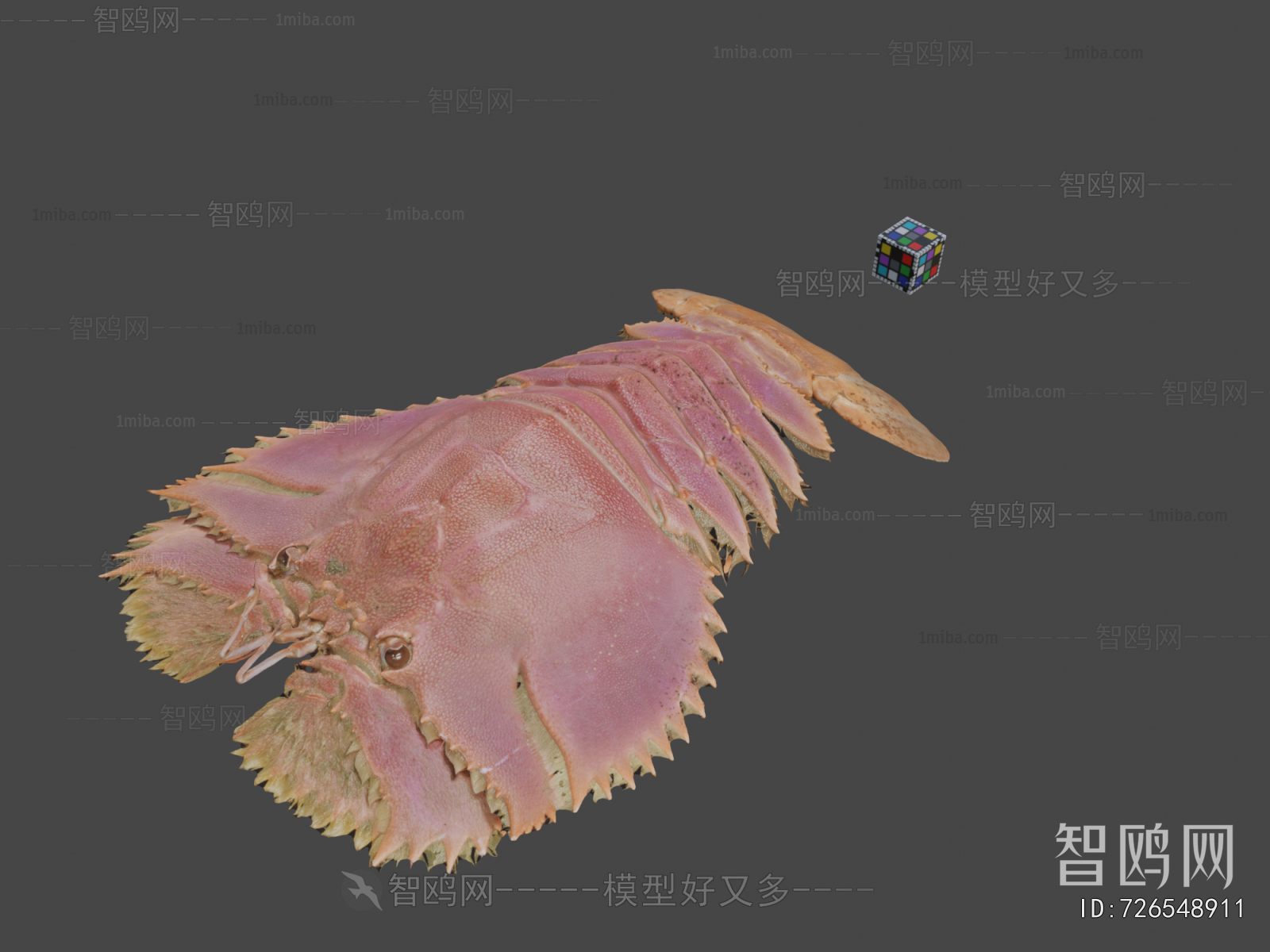 Modern Animal