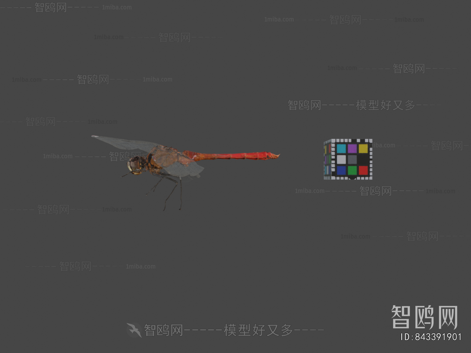 Modern Flying Animals