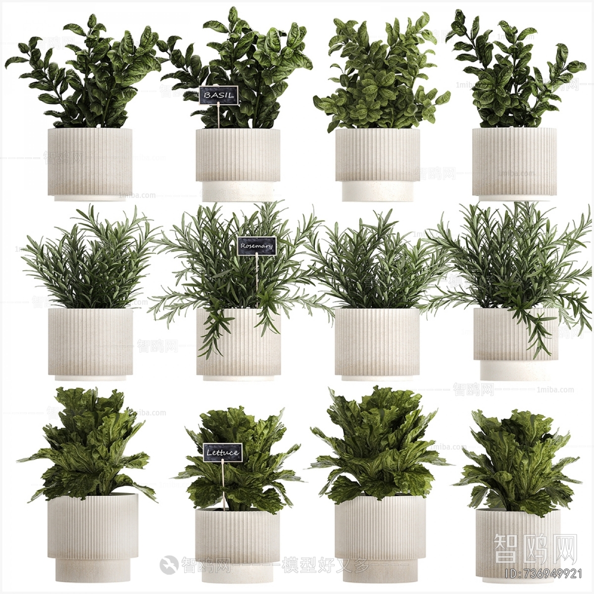 Modern Potted Green Plant