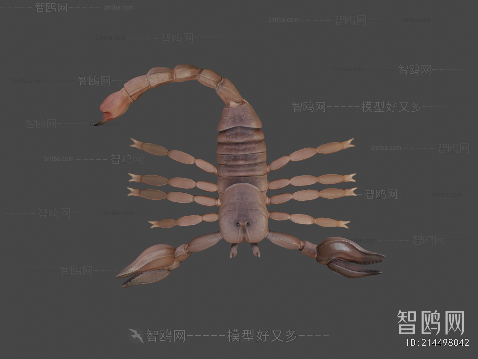 Modern Animal