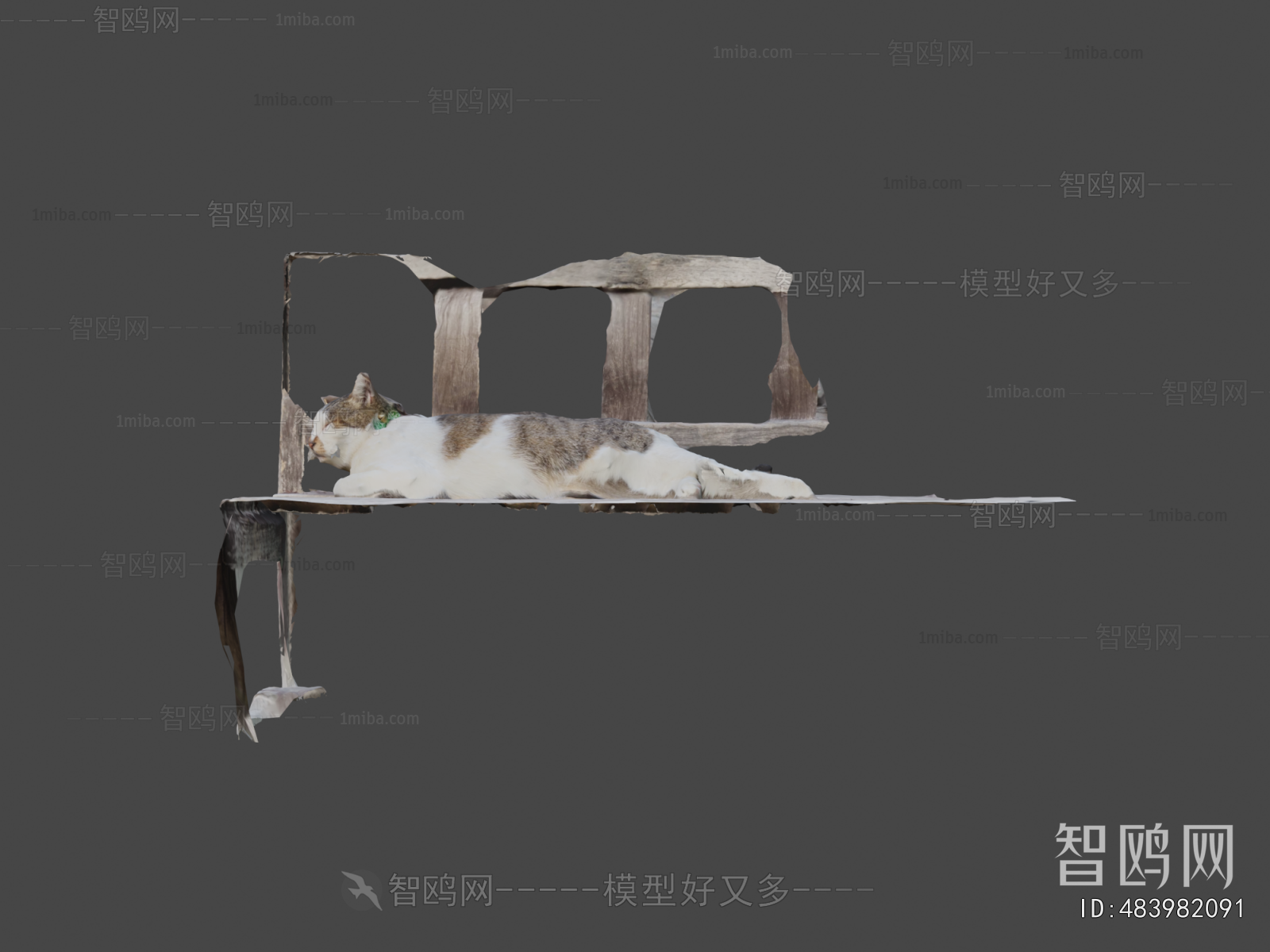 Modern Animal Cat