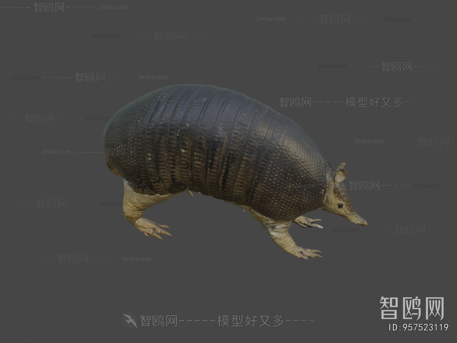 Modern Mammal