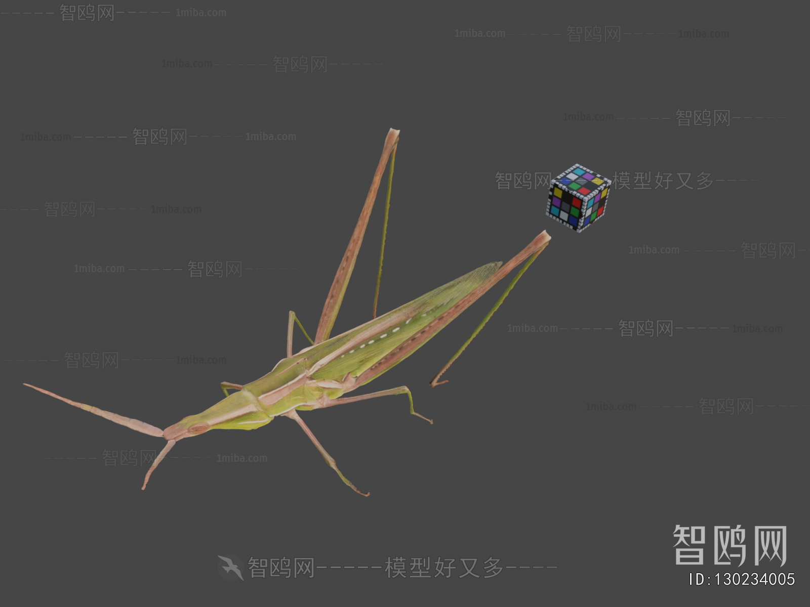 Modern Animal