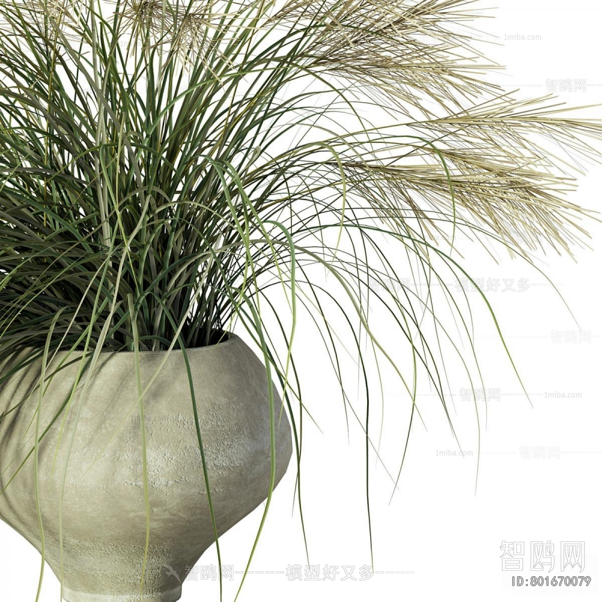 Modern Potted Green Plant