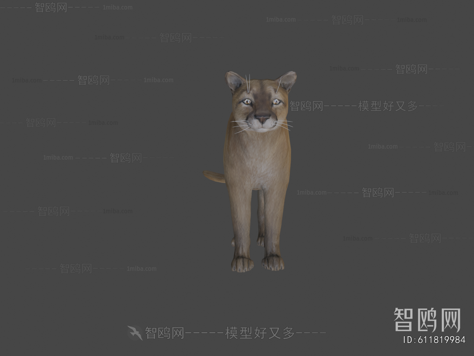 Modern Animal Cat