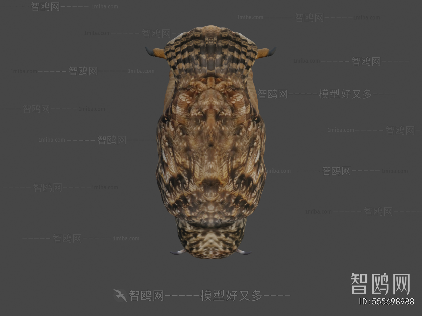 Modern Animal