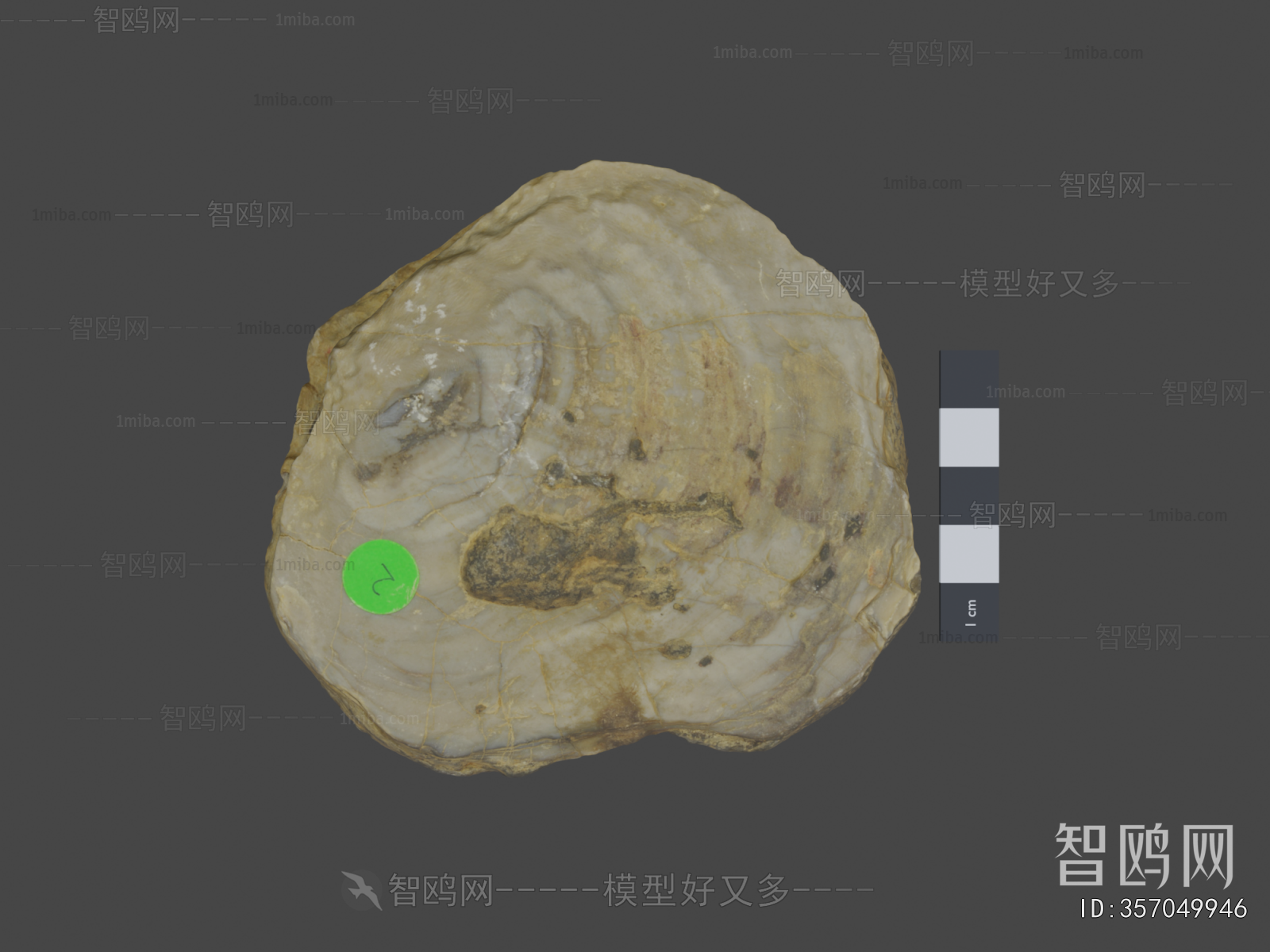 Modern Medical Equipment