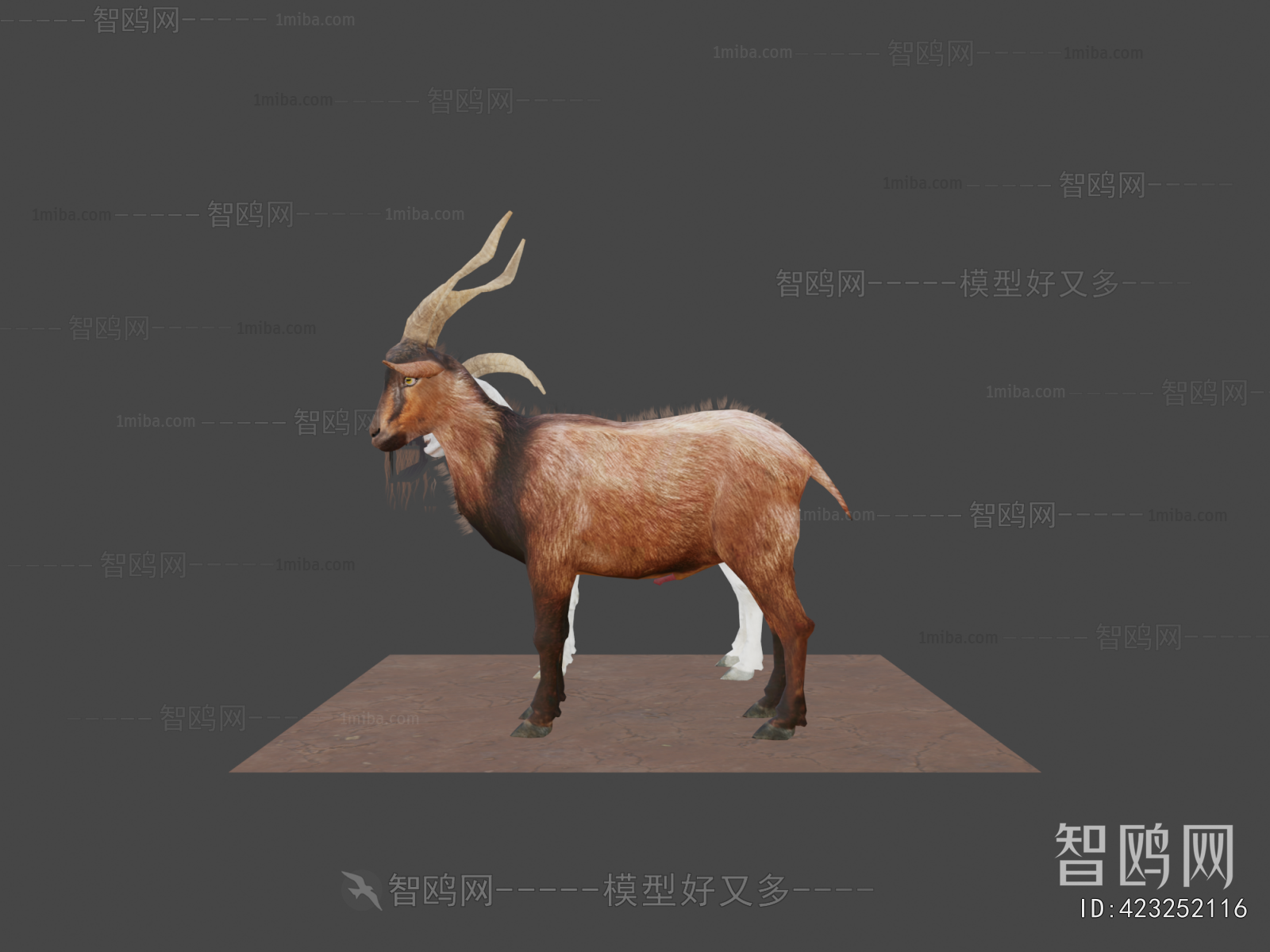Modern Mammal