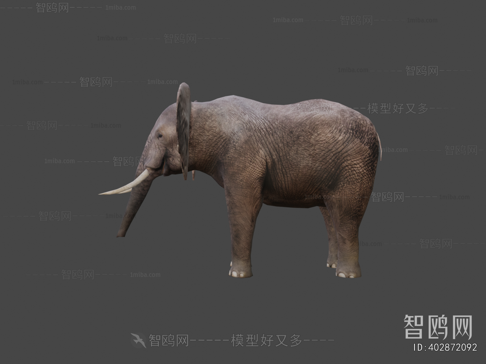 Modern Mammal