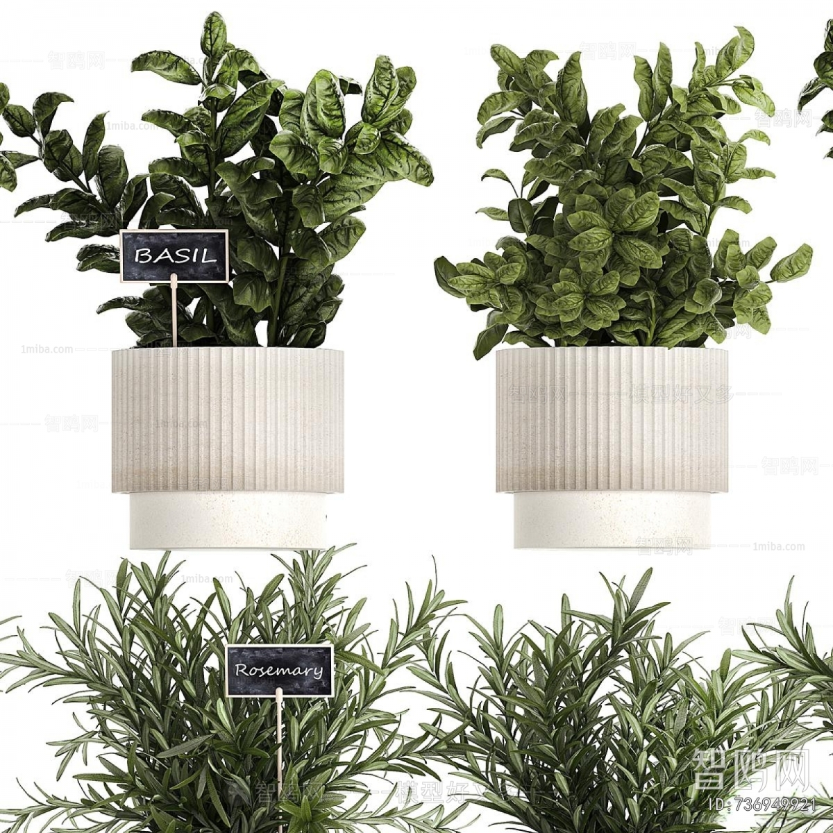 Modern Potted Green Plant