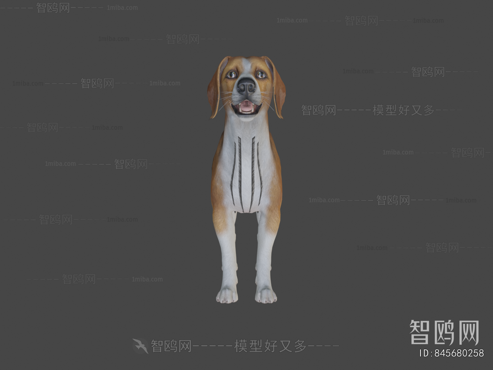 Modern Animal Dog