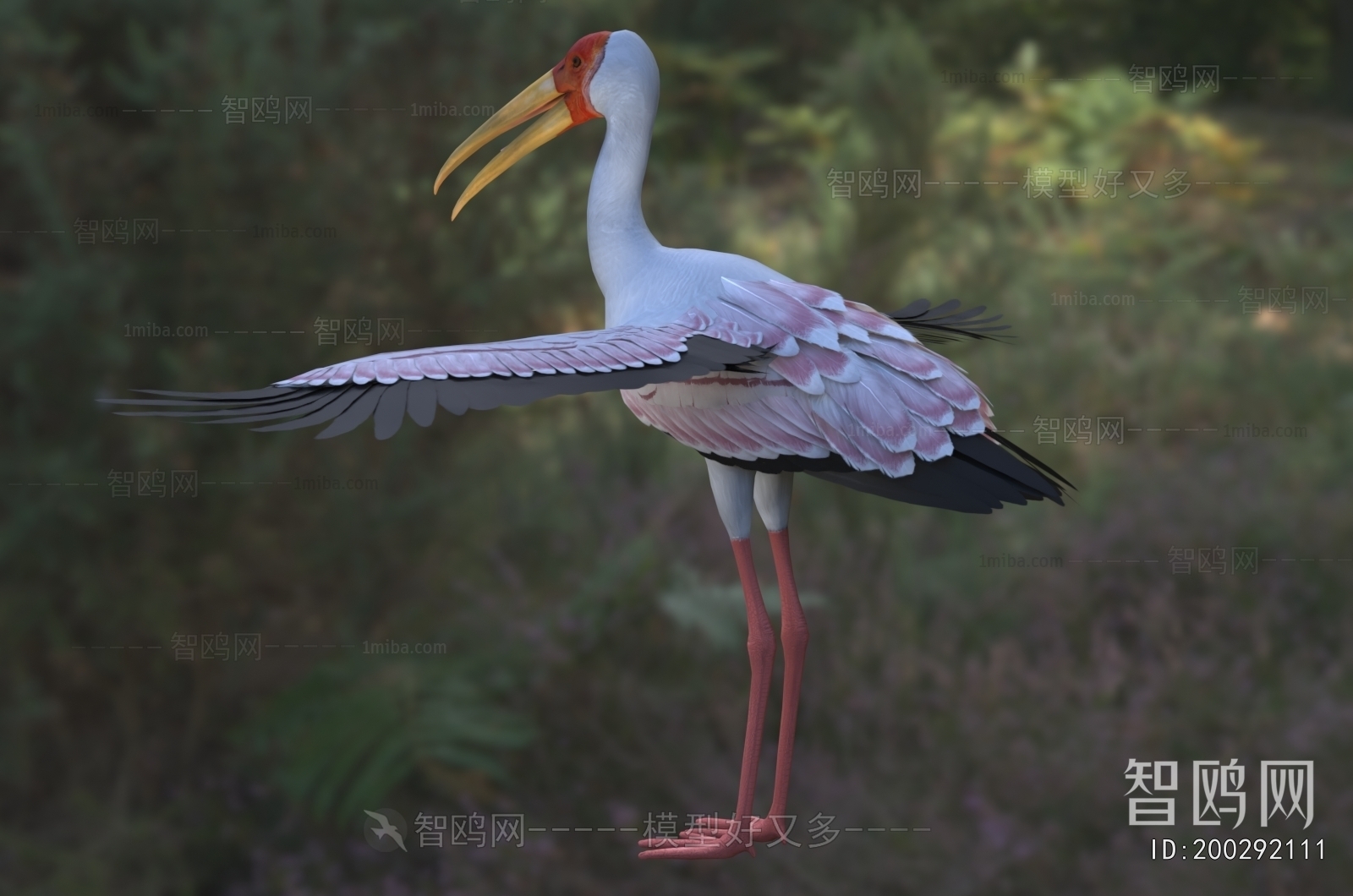 Modern Flying Animals