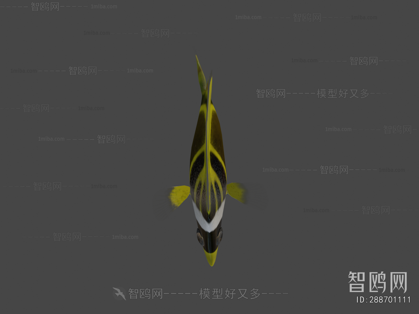 Modern Animal