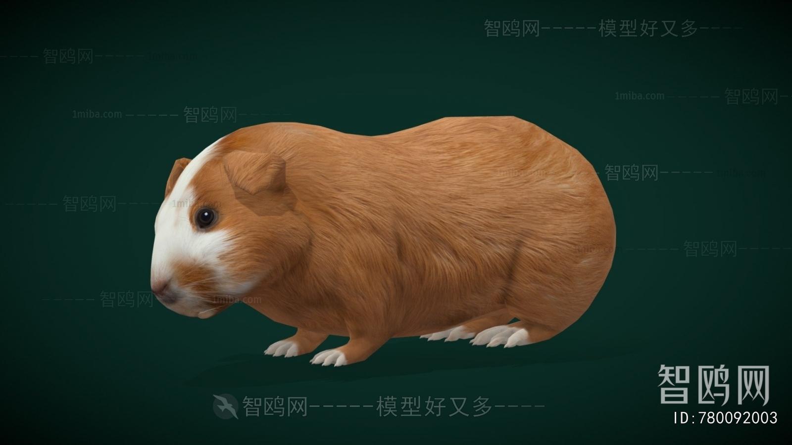 Modern Animal