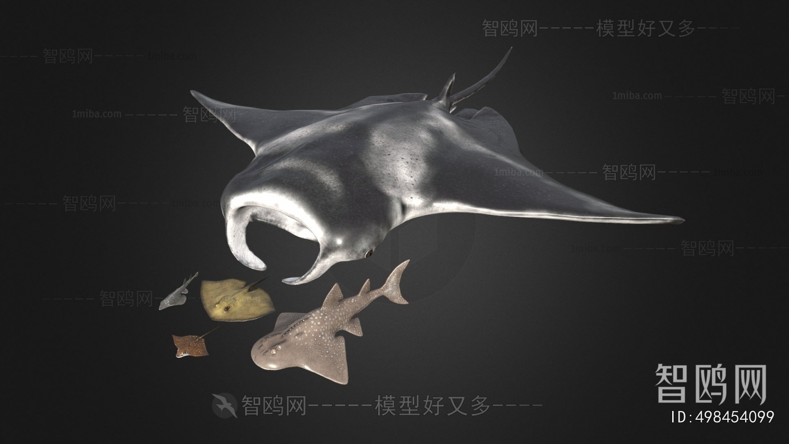 Modern Animal