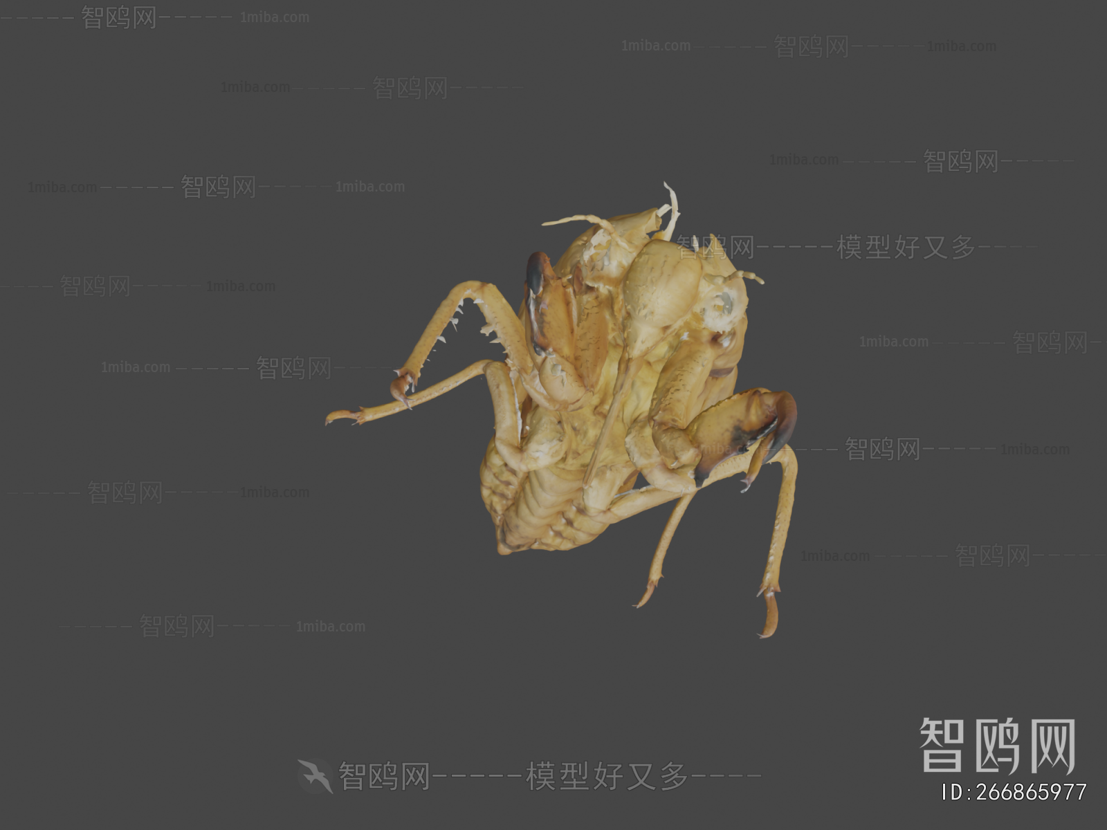 Modern Animal
