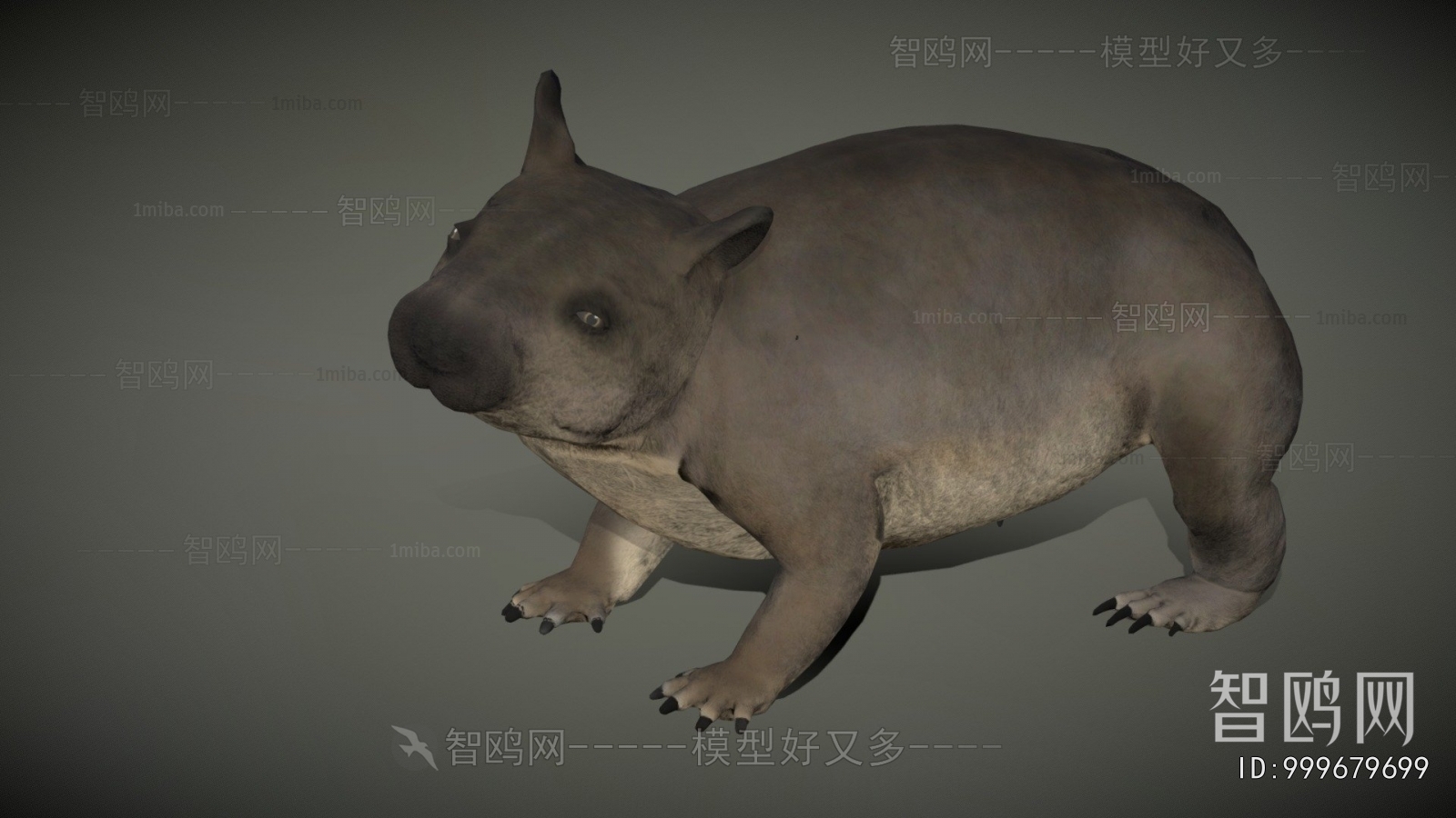 Modern Mammal