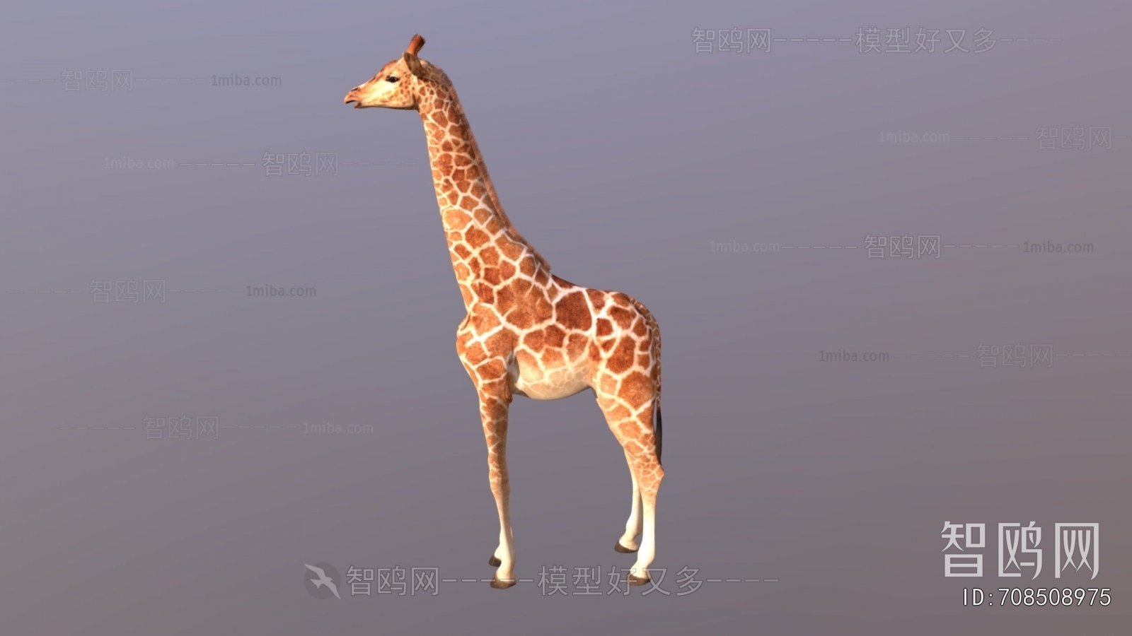 Modern Mammal