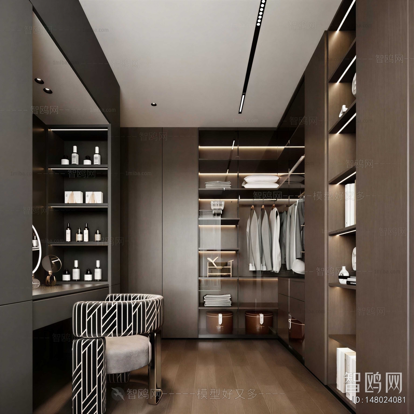 Modern Clothes Storage Area